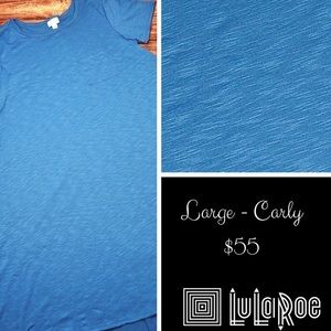 LuLaRoe Carly Swing Dress  - Large